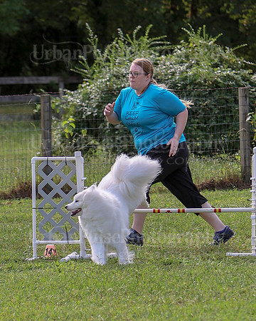 AGILITY-2202