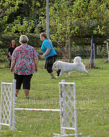 AGILITY-2201
