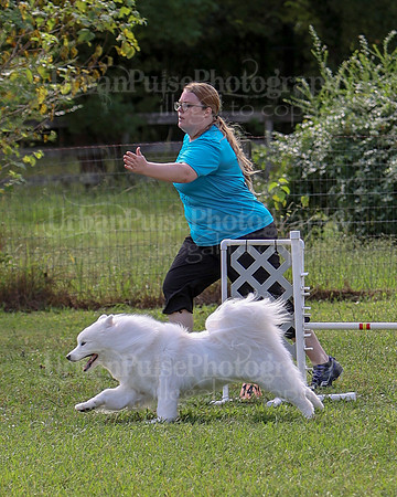 AGILITY-2203