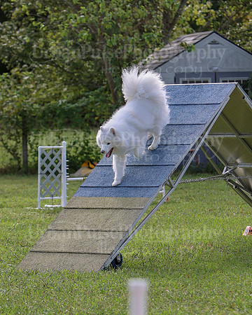 AGILITY-2205