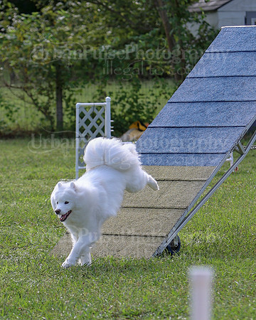 AGILITY-2206