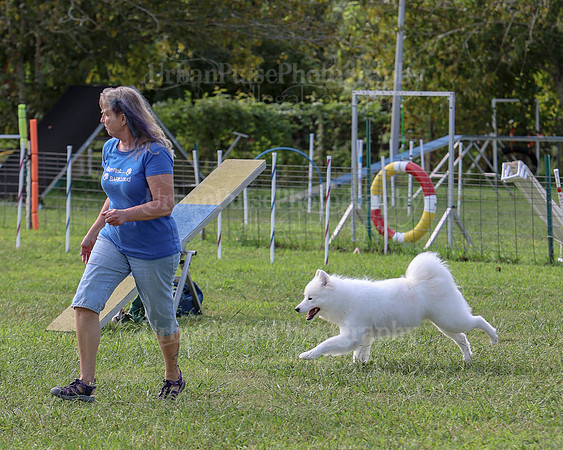 AGILITY-2209