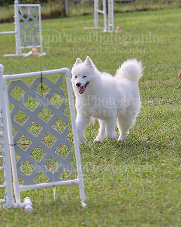 AGILITY-2210