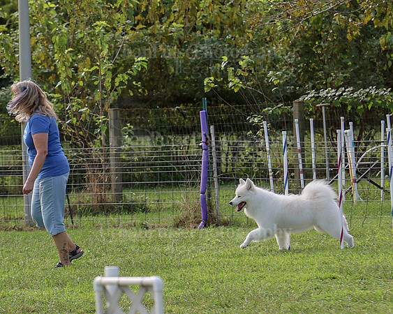 AGILITY-2214