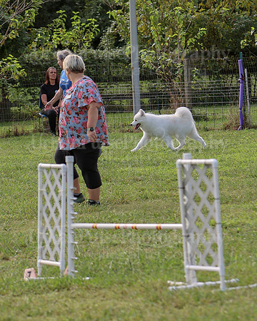 AGILITY-2216
