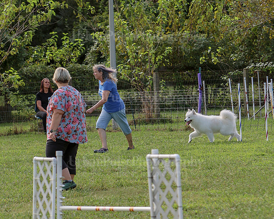 AGILITY-2215