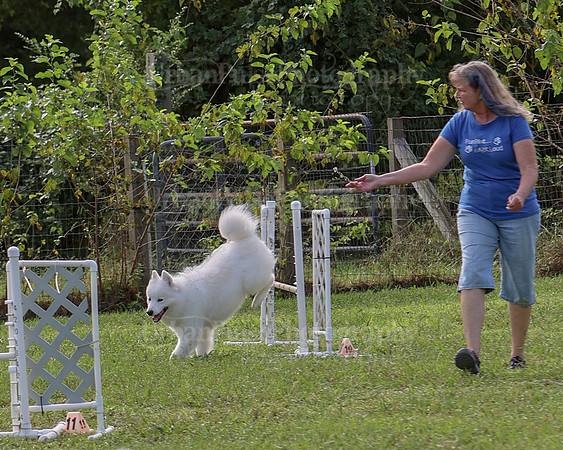 AGILITY-2217
