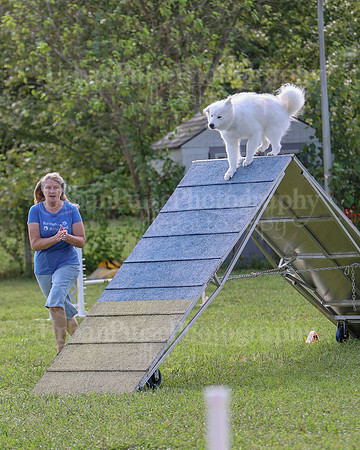 AGILITY-2220