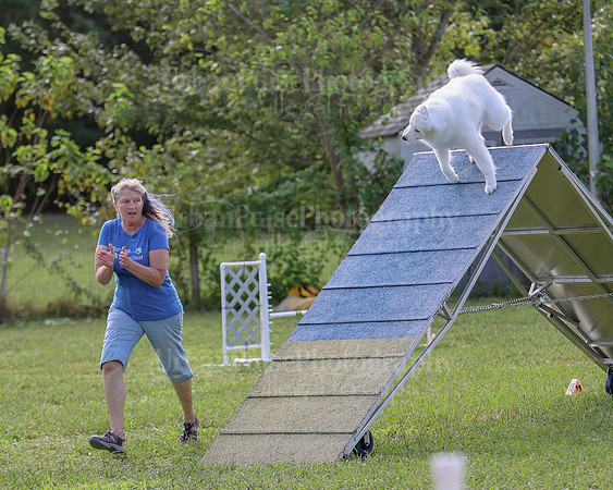 AGILITY-2221