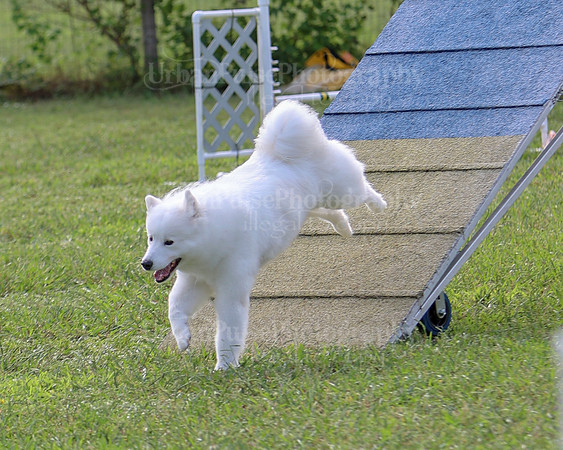 AGILITY-2223