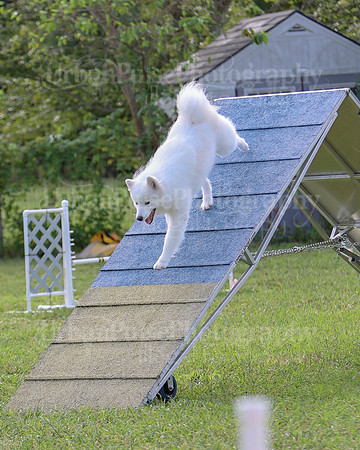AGILITY-2222