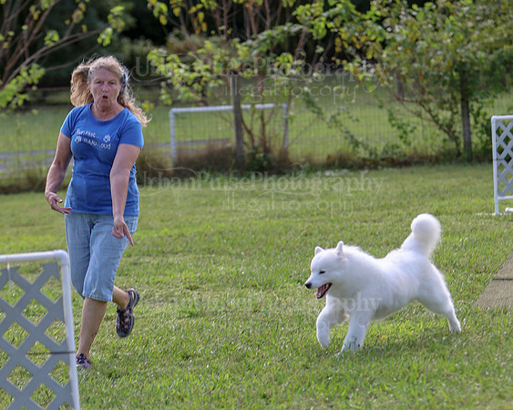 AGILITY-2224