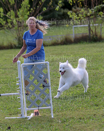 AGILITY-2225