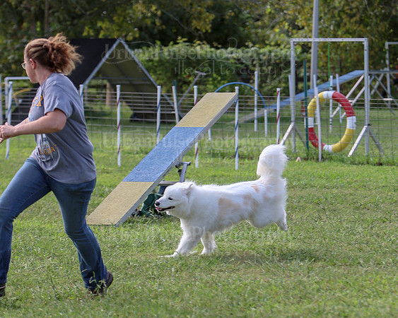 AGILITY-2229