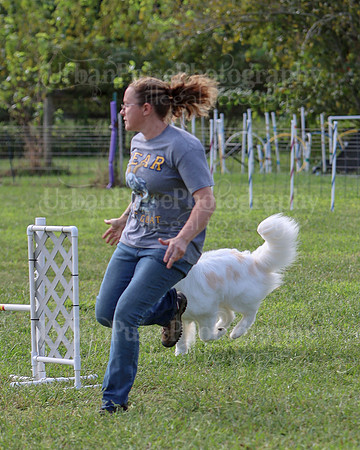 AGILITY-2230