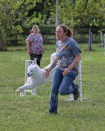 AGILITY-2231