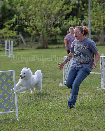 AGILITY-2232