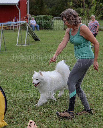 AGILITY-2497