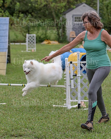 AGILITY-2495