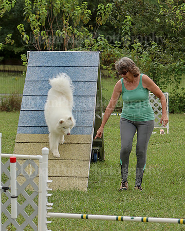 AGILITY-2499