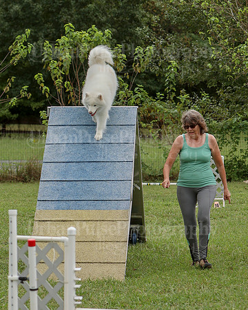 AGILITY-2498