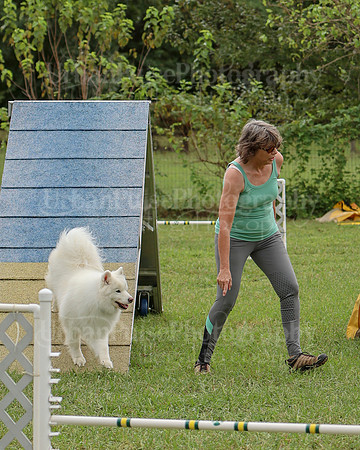 AGILITY-2500