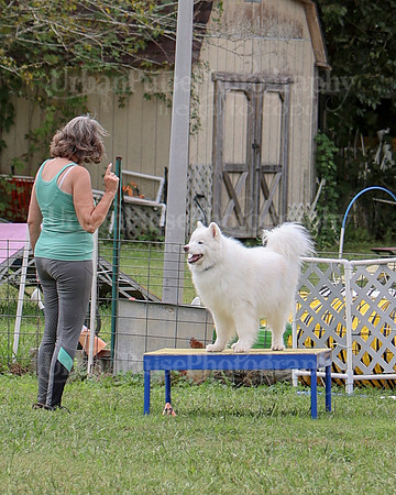 AGILITY-2501
