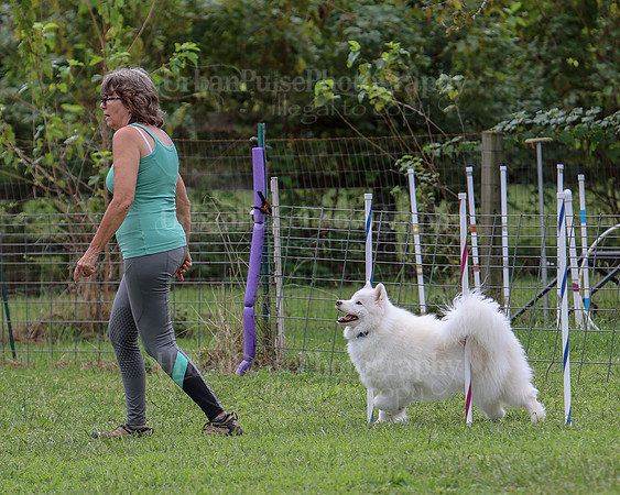 AGILITY-2502