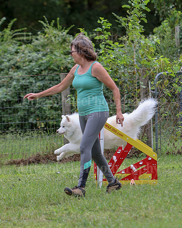 AGILITY-2504