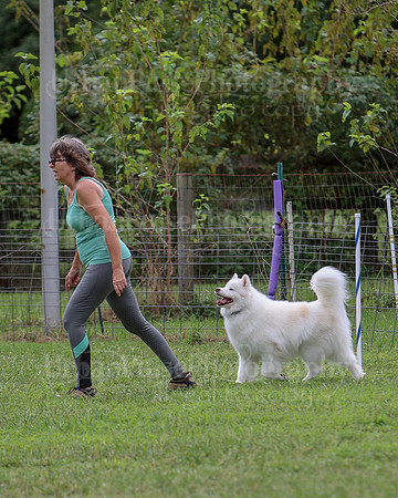 AGILITY-2503