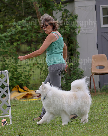 AGILITY-2506