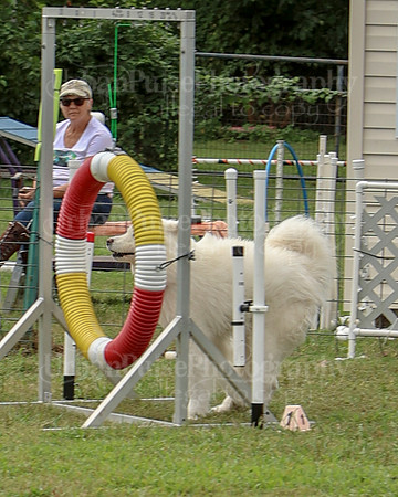 AGILITY-2510