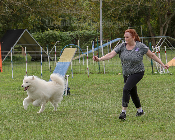AGILITY-2512