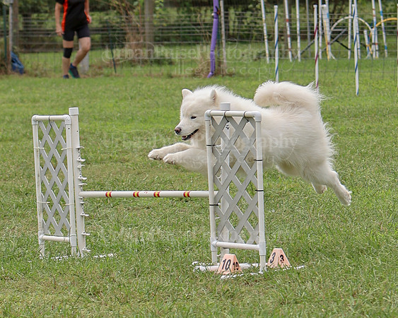 AGILITY-2514