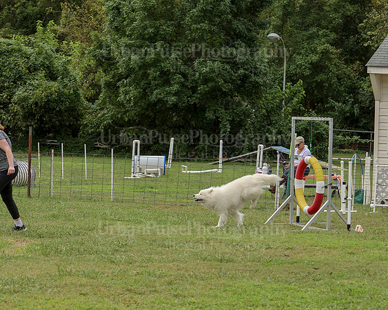 AGILITY-2511