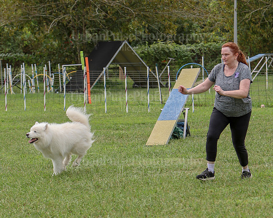 AGILITY-2513