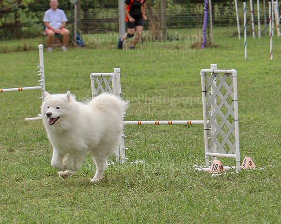 AGILITY-2515