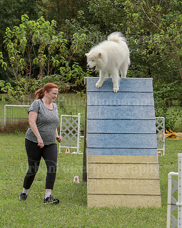AGILITY-2520
