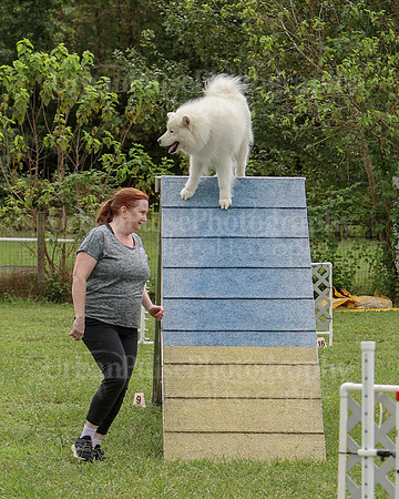 AGILITY-2521