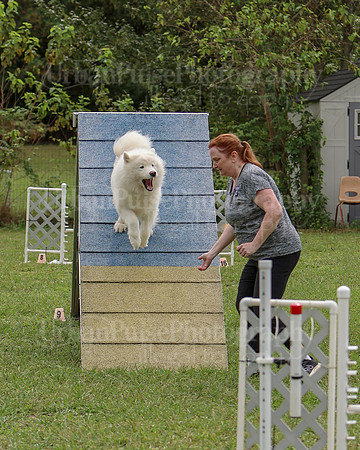 AGILITY-2522
