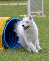 2023 AGILITY EX/MASTER STD