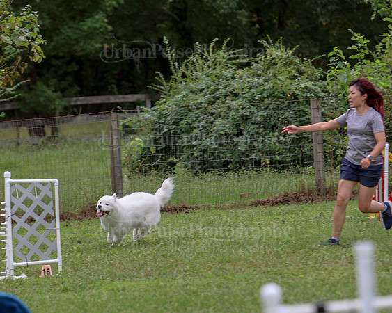 AGILITY-2785