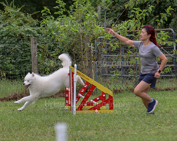 AGILITY-2784
