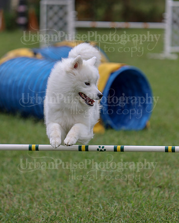 AGILITY-2791