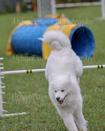 AGILITY-2795