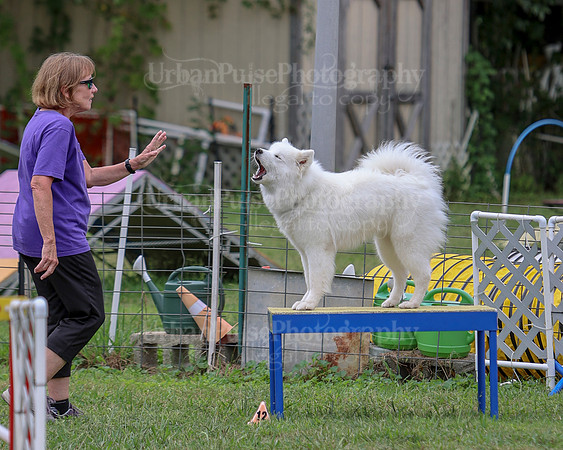 AGILITY-2796