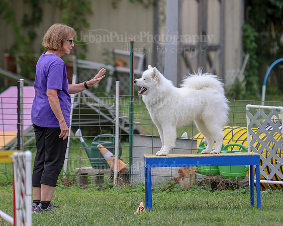 AGILITY-2797