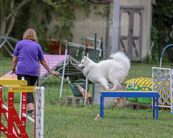 AGILITY-2799