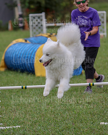 AGILITY-2808