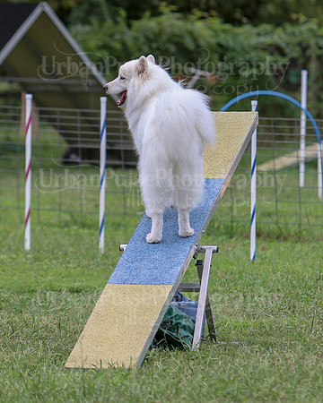 AGILITY-2809
